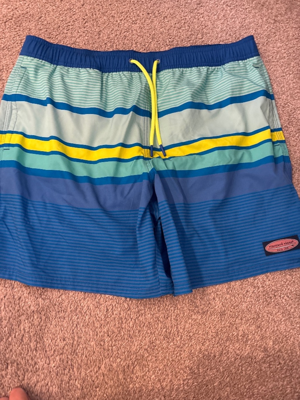 Blue stripe swim trunks